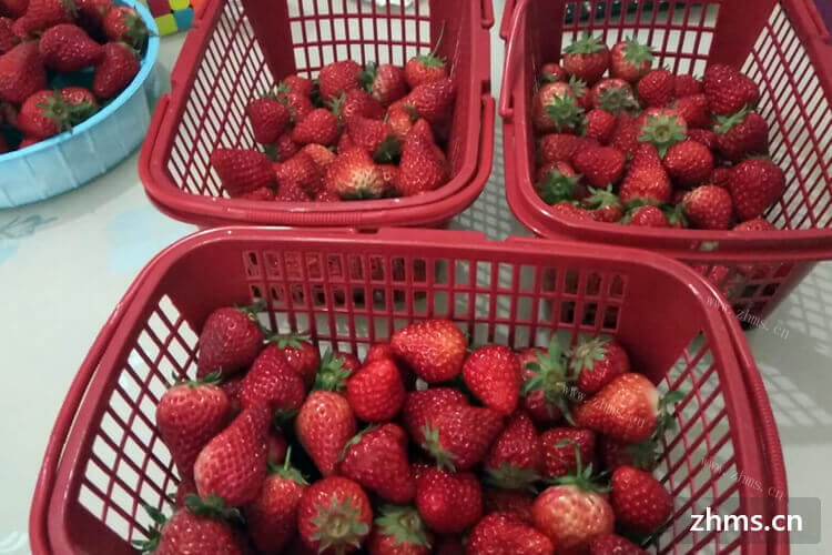 我买了一些草莓，洗草莓用盐水浸泡能洗干净吗？