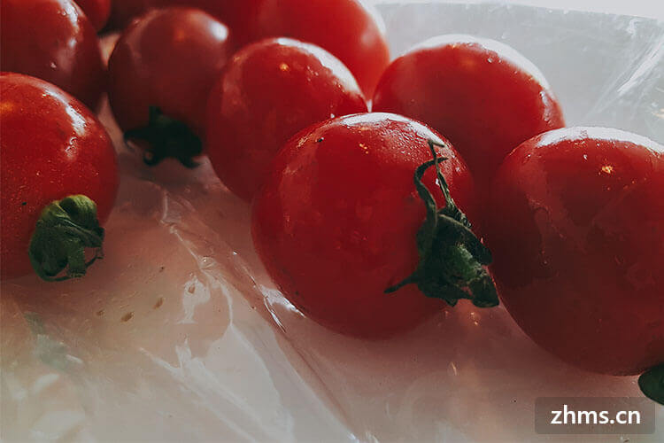 番茄和西红柿一样吗