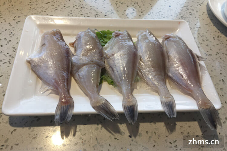 耗儿鱼要煮几分钟熟？耗儿鱼做成的菜品有哪些？