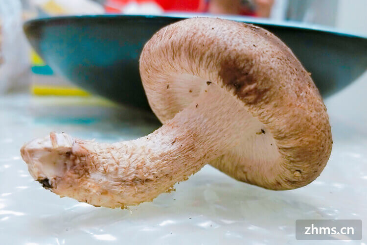 卤肉饭里的香菇怎么切