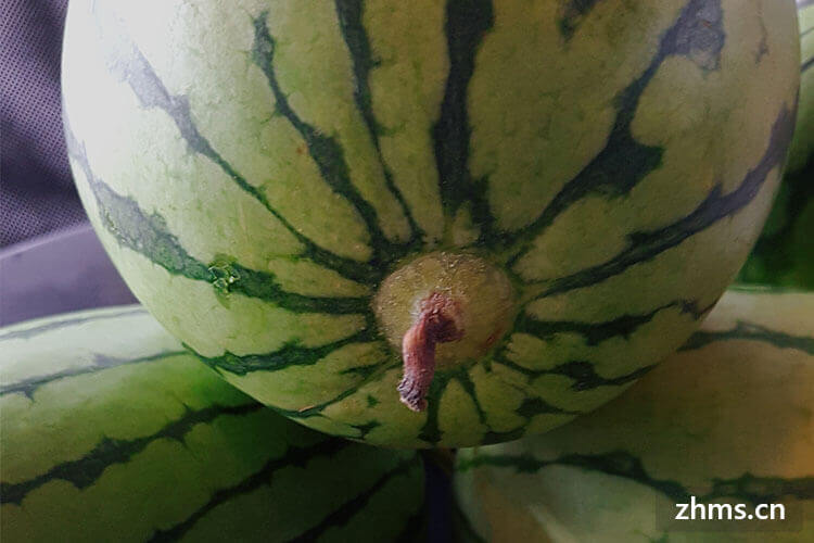 处暑吃西瓜吗
