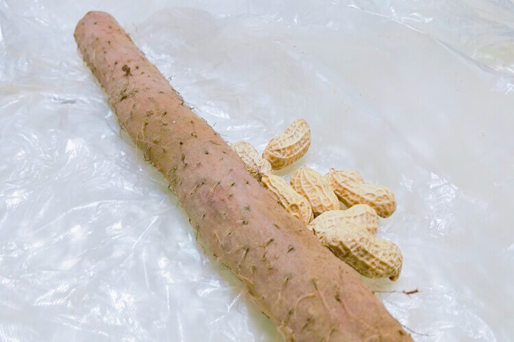 特别喜欢喝汤，我想知道山药玉米菌菇排骨汤怎么做呢？