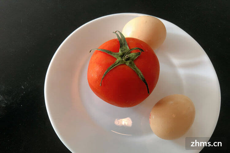 西红柿牛腩怎么做