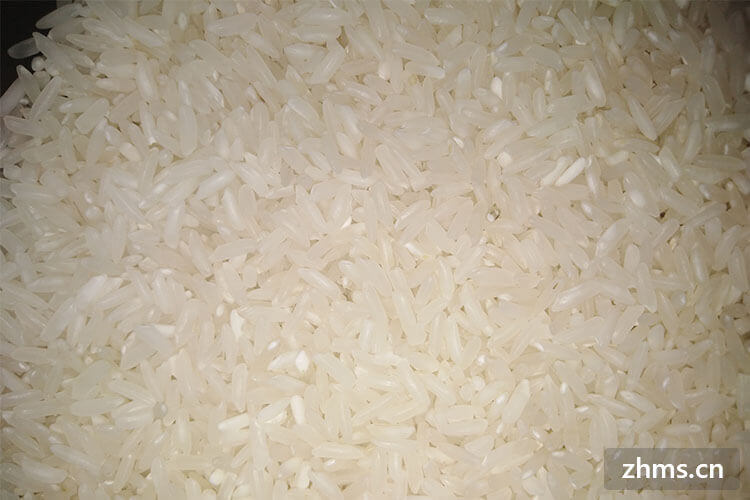 大米 营养成分