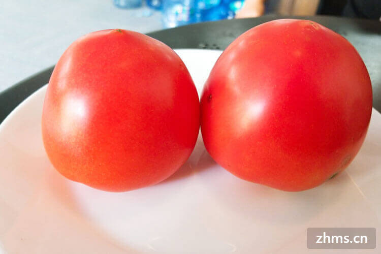 西红柿汁减肥法