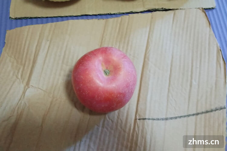 苹果可以减肥