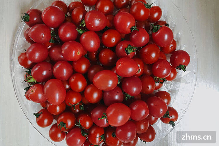 番茄的热量低营养价值高，值得大家pick