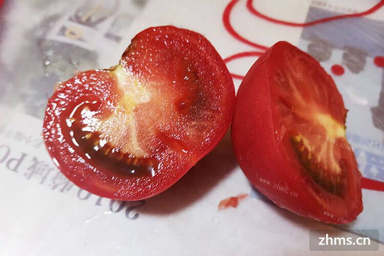 西红柿和番茄区别在哪里呢？有人知道吗？