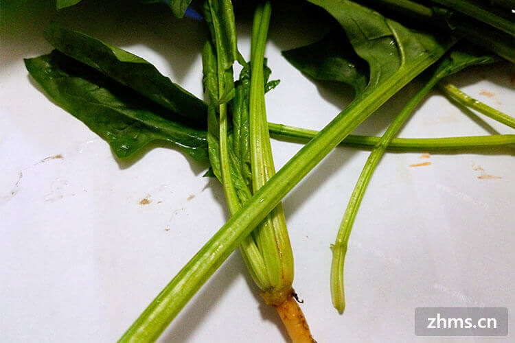 多吃菠菜可以保护视力，3月份可以吃菠菜吗？