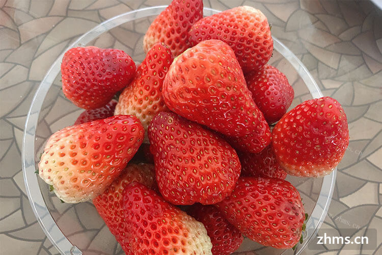 只吃过但没种过草莓，所以草莓几月种呢？