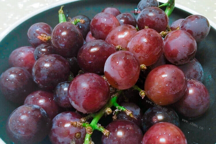 葡萄有很多种，山葡萄与野葡萄区别是什么呀？