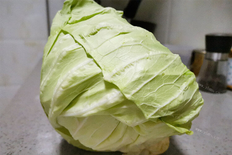 椰菜跟包菜的区别，哪个更好吃呢？