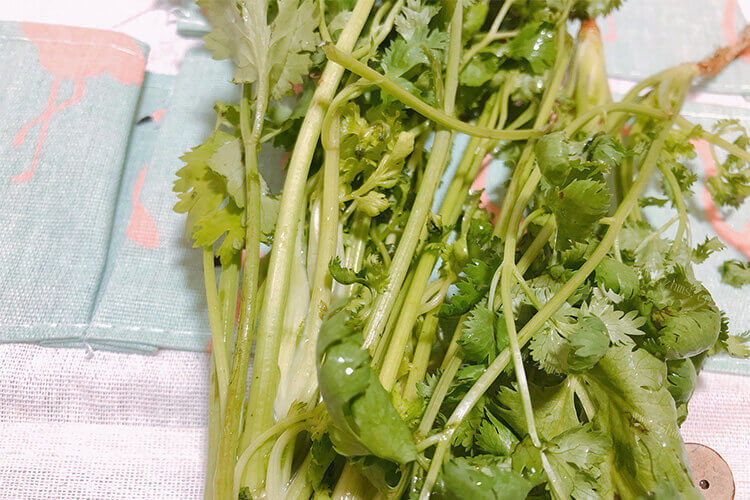 青菜之间也是有区别的，大芫荽和香菜的区别是什么？