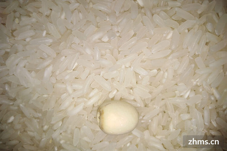 大米怎么保存不生虫？夏天一到，买的大米就很容易长虫
