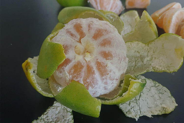 想制作一些陈皮，什么品种的橘子皮是甜的？