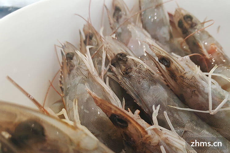 阿根廷红虾和青虾的区别是什么