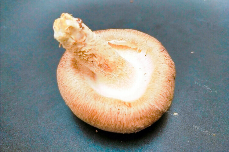 鸡腿菇和香菇哪个有营养，你们喜欢吃哪个？