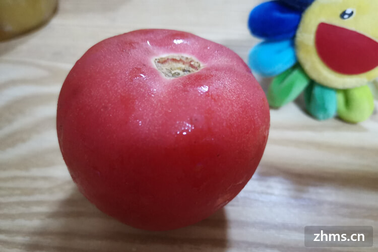 西红柿怎么存？西红柿适合放在冰箱里吗？