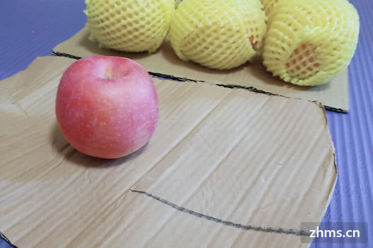 苹果削皮用具