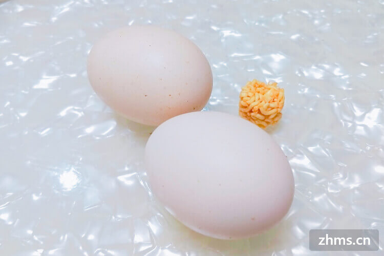 蛋黄与蛋清分离的方法
