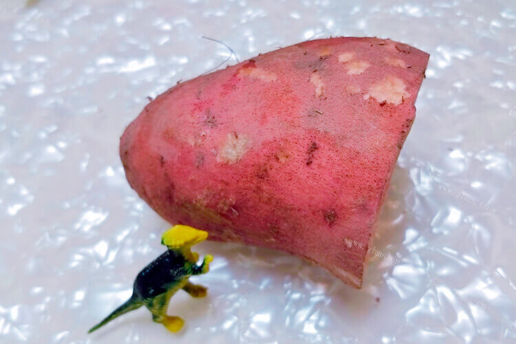 蒜蓉炒红薯叶还挺好吃的，紫薯长的红薯叶能吃吗？