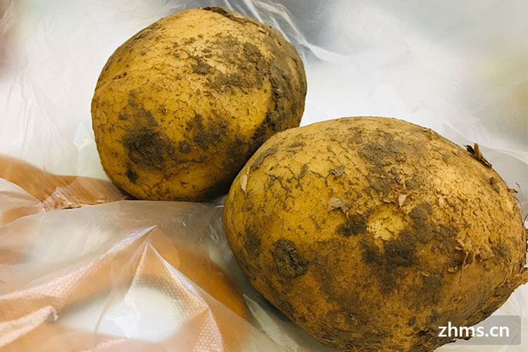 马铃薯煮多久才能做土豆泥，营养价值有哪些？