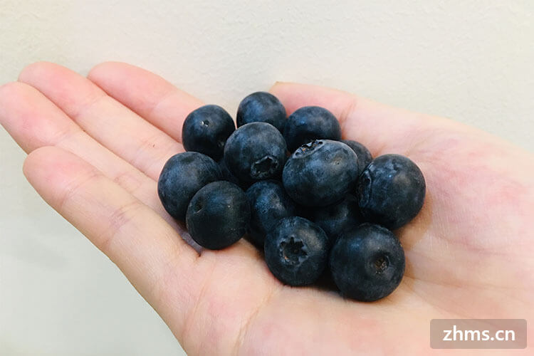 蓝莓吃法