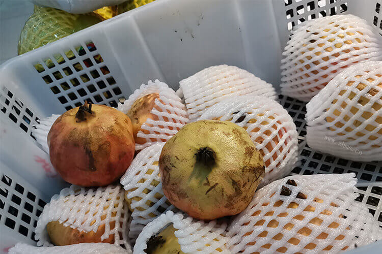 蕃石榴是我南方地区一种比较有名的水果，蕃石榴好吃吗？