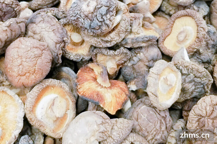 最近买了很多香菇，香菇开花怎么切？