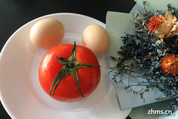 番茄鸡蛋面怎么做