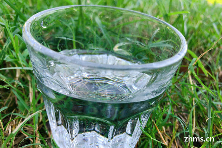 最近买了一瓶矿泉水回家，三分之一的水是多少升呢？