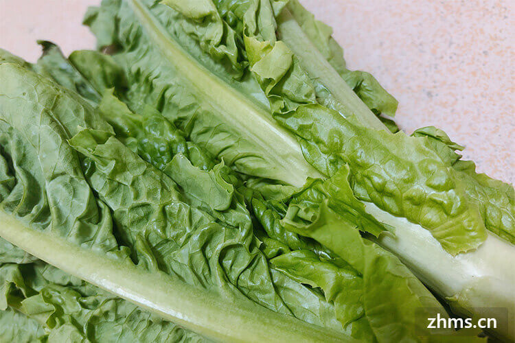 叶子蔬菜怎么做好吃？这三种让你回味无穷！