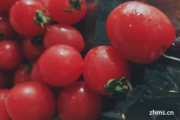 樱桃番茄的营养价值