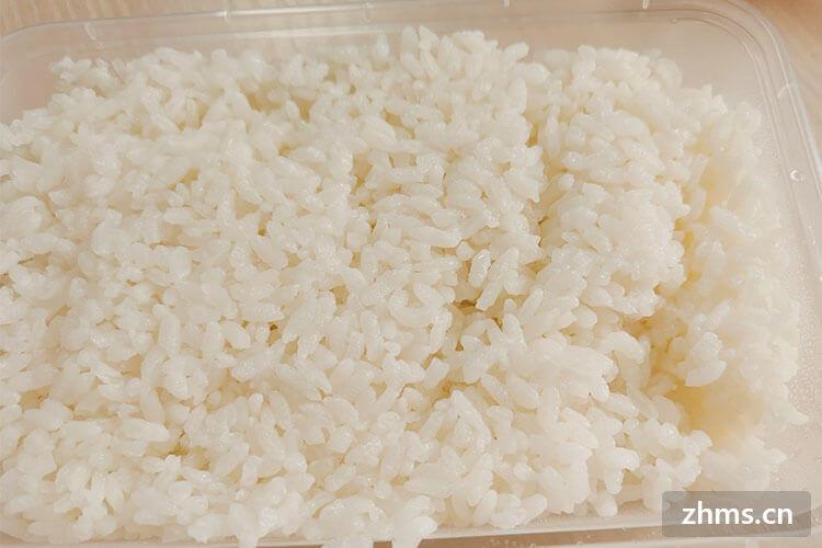 不吃米饭减肥