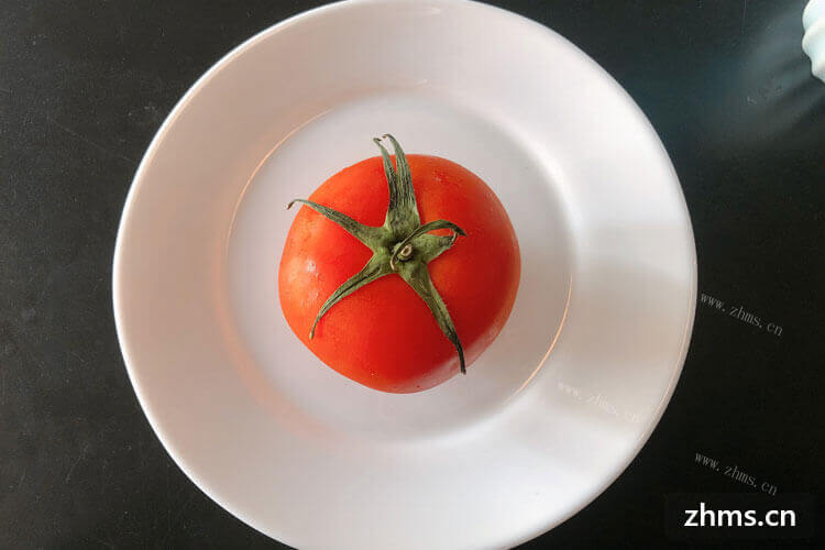 番茄和西红柿有区别吗？知道的告诉我一下。