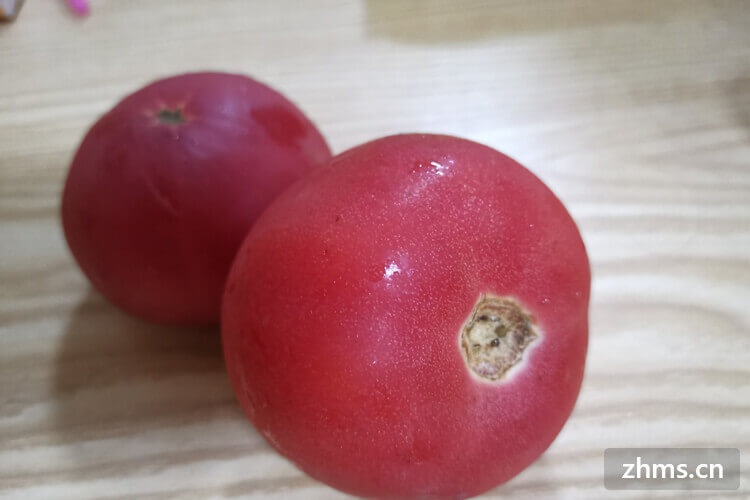青西红柿怎么催熟