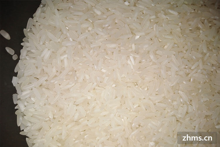 大米有什么营养成分