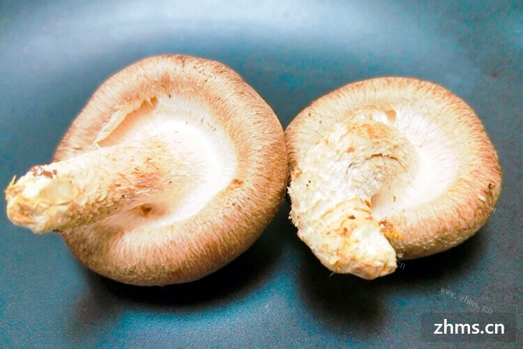 今天买了一些香菇回家想做炒香菇了，香菇怎么炒好吃呢？