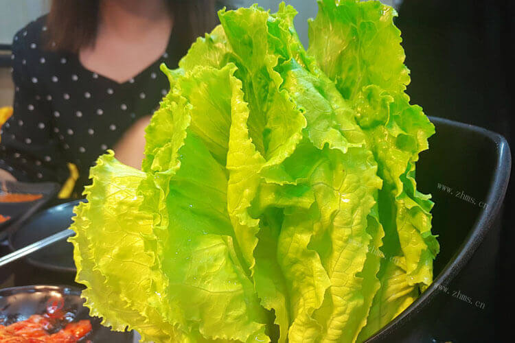 一直都不太清楚菜的品类，生菜是白菜的一种吗？