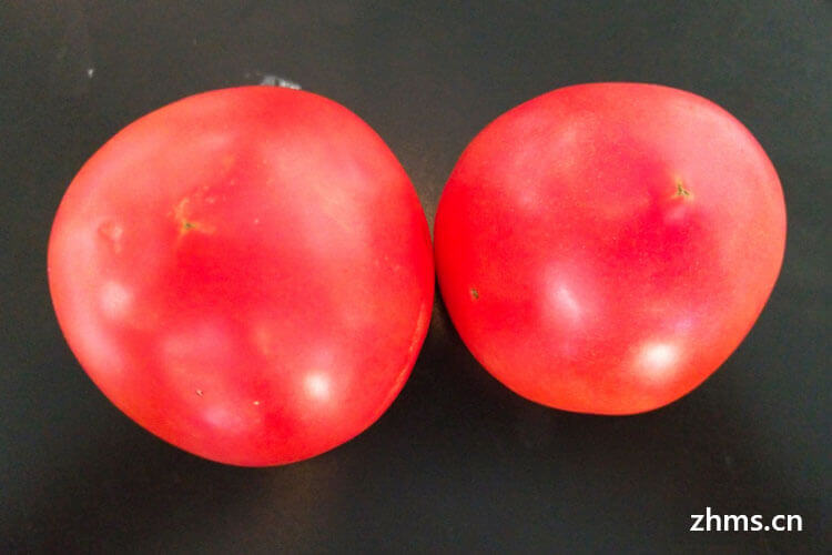 炒西红柿面的营养价值和功效