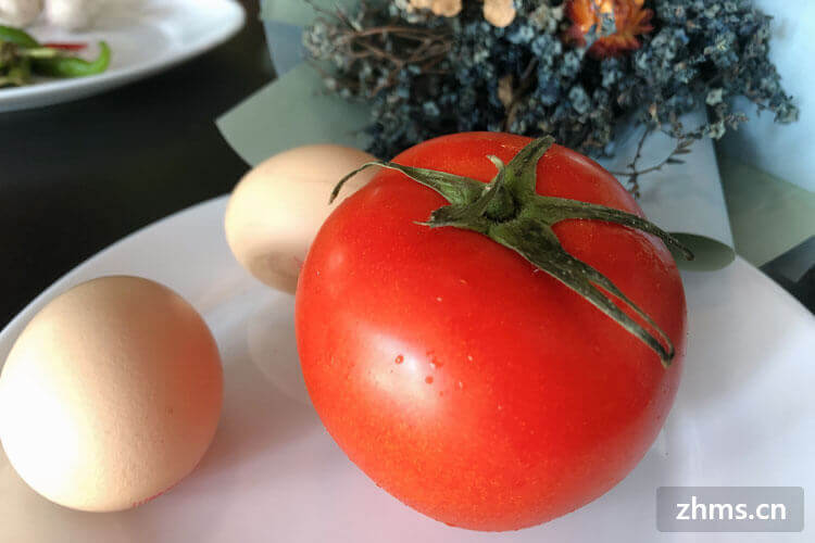 西红柿鸡蛋汤减肥