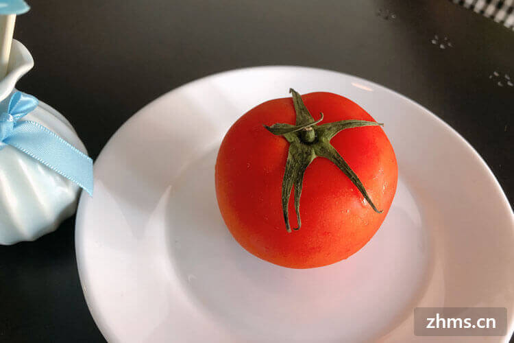 西红柿鸡蛋汤能减肥吗