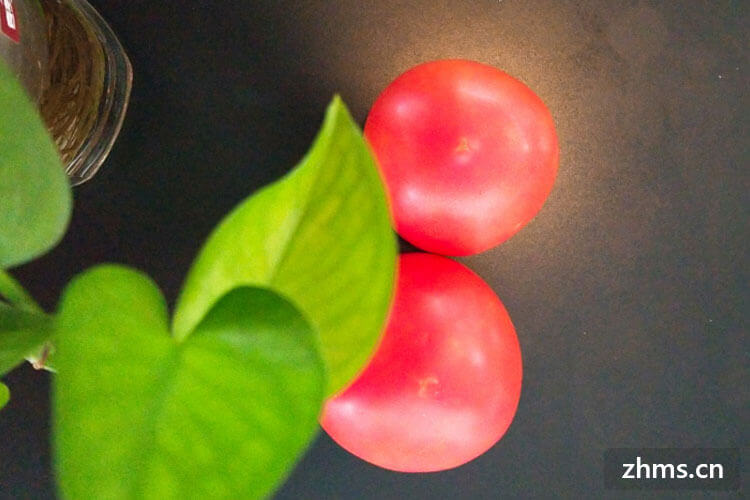 喝西红柿鸡蛋汤能减肥吗