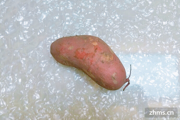 红薯淀粉含量