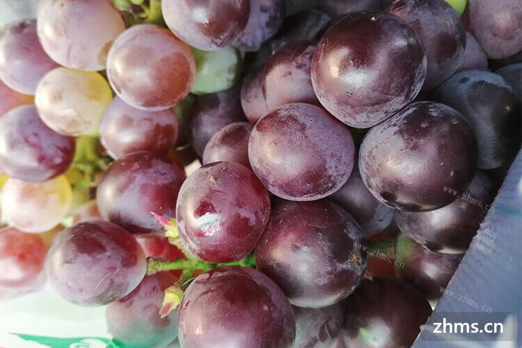 葡萄的种类有哪几种？哪些葡萄品种比较好吃？