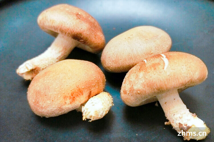 新鲜香菇怎么做好吃