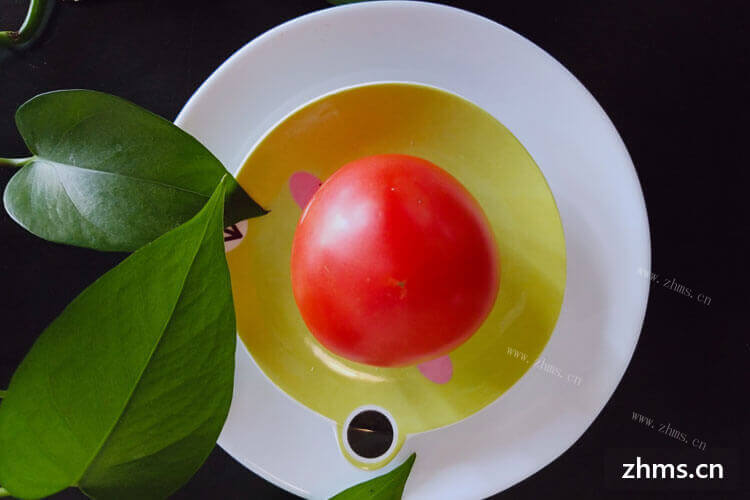 怎么鉴别西红柿的好坏呢？西红柿哪种好吃呢？