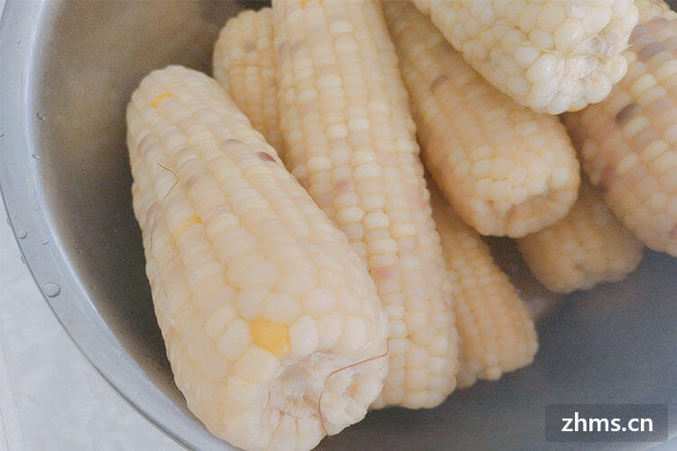 糯玉米煮多久 糯玉米煮多久