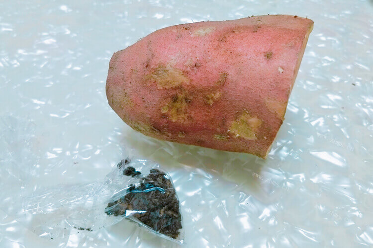 红薯可以制作出红薯粉，需要红薯粉机器，大型打红薯粉机可以吗？