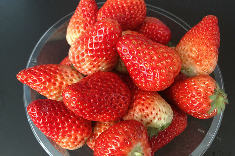 想去买一些草莓，请问法兰地草莓什么时候结果？